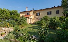 Villa Porcigliano Olive Grove