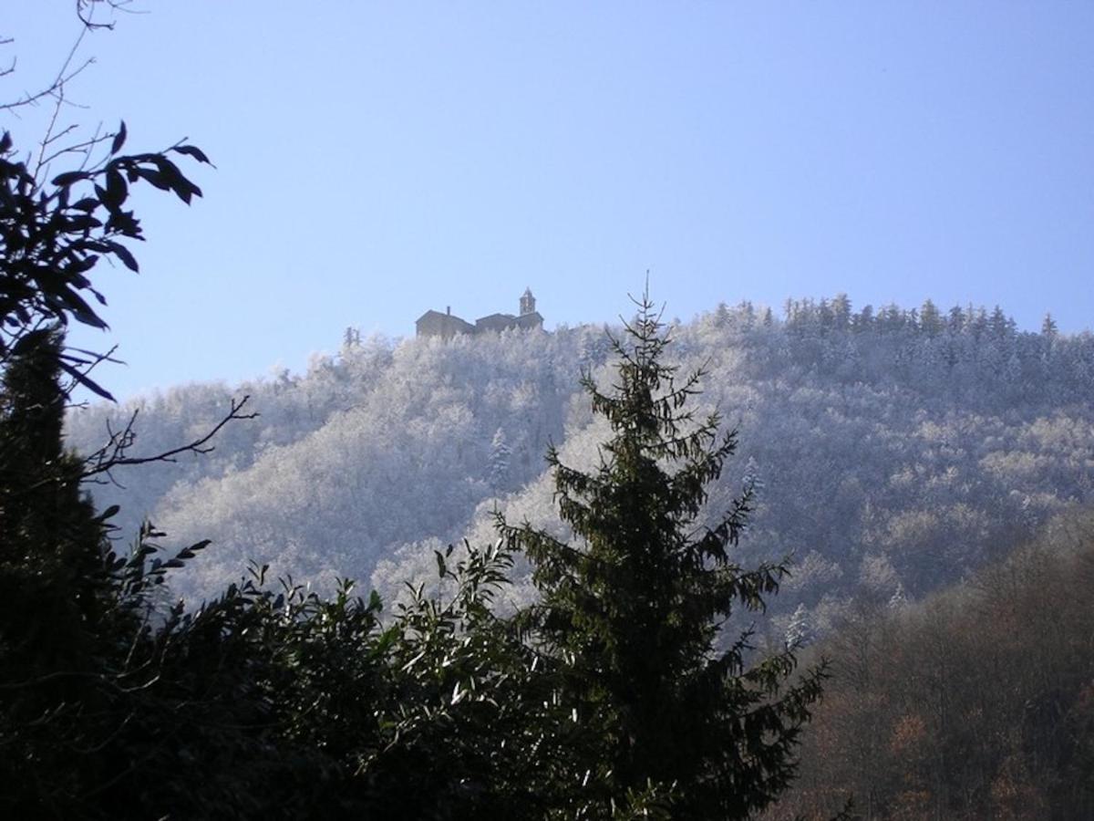 Villa Porcigliano Olive Grove Polcanto Esterno foto