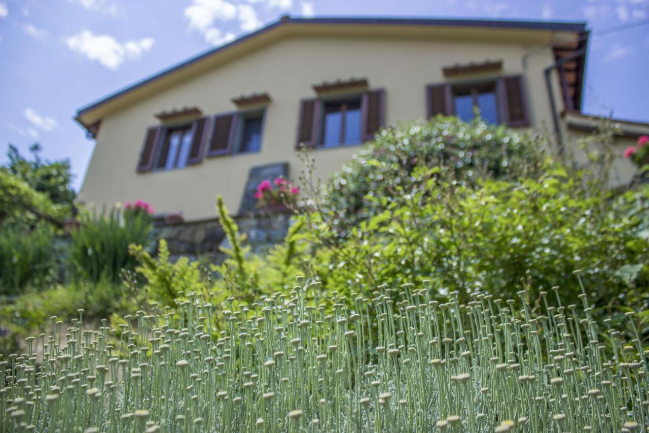 Villa Porcigliano Olive Grove Polcanto Esterno foto