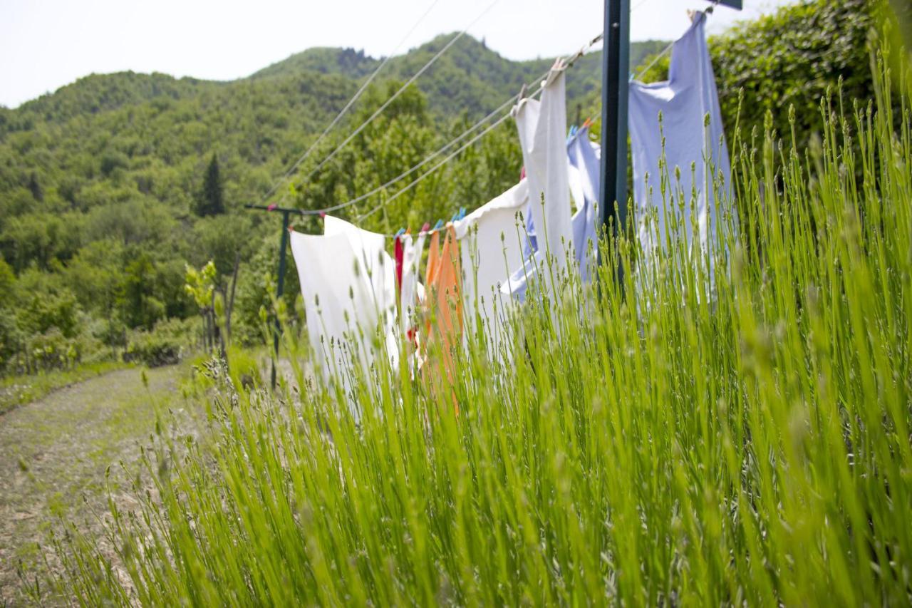 Villa Porcigliano Olive Grove Polcanto Esterno foto