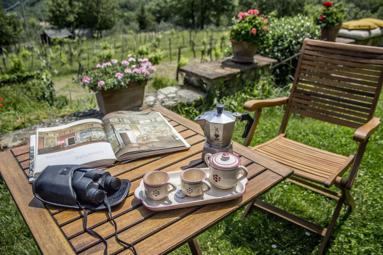 Villa Porcigliano Olive Grove Polcanto Esterno foto
