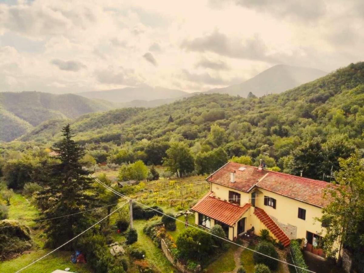 Villa Porcigliano Olive Grove Polcanto Esterno foto