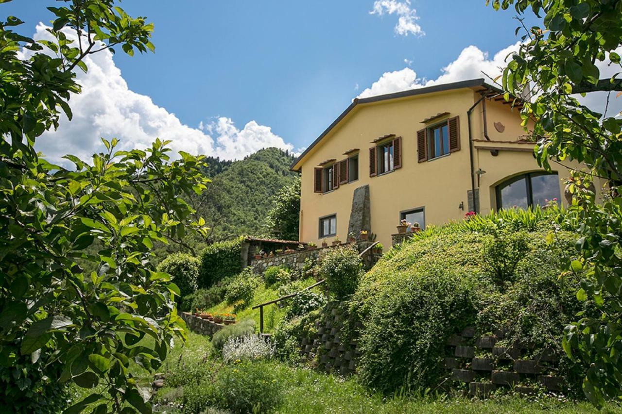 Villa Porcigliano Olive Grove Polcanto Esterno foto